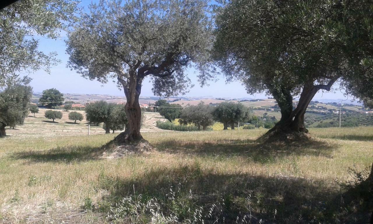 Amor Di Lavanda Cingoli Exterior foto