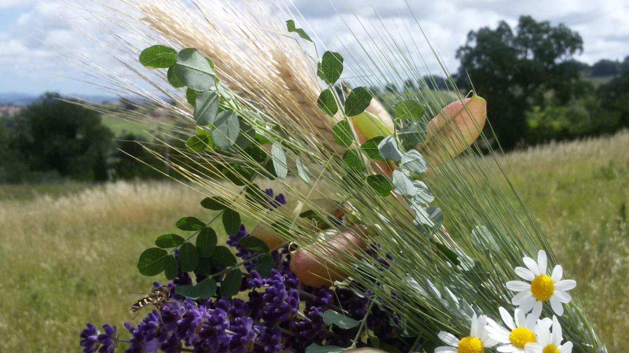Amor Di Lavanda Cingoli Exterior foto
